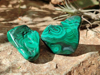 Polished Flower Banded Malachite Free Forms x 14 From Congo