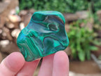 Polished Flower Banded Malachite Free Forms x 14 From Congo