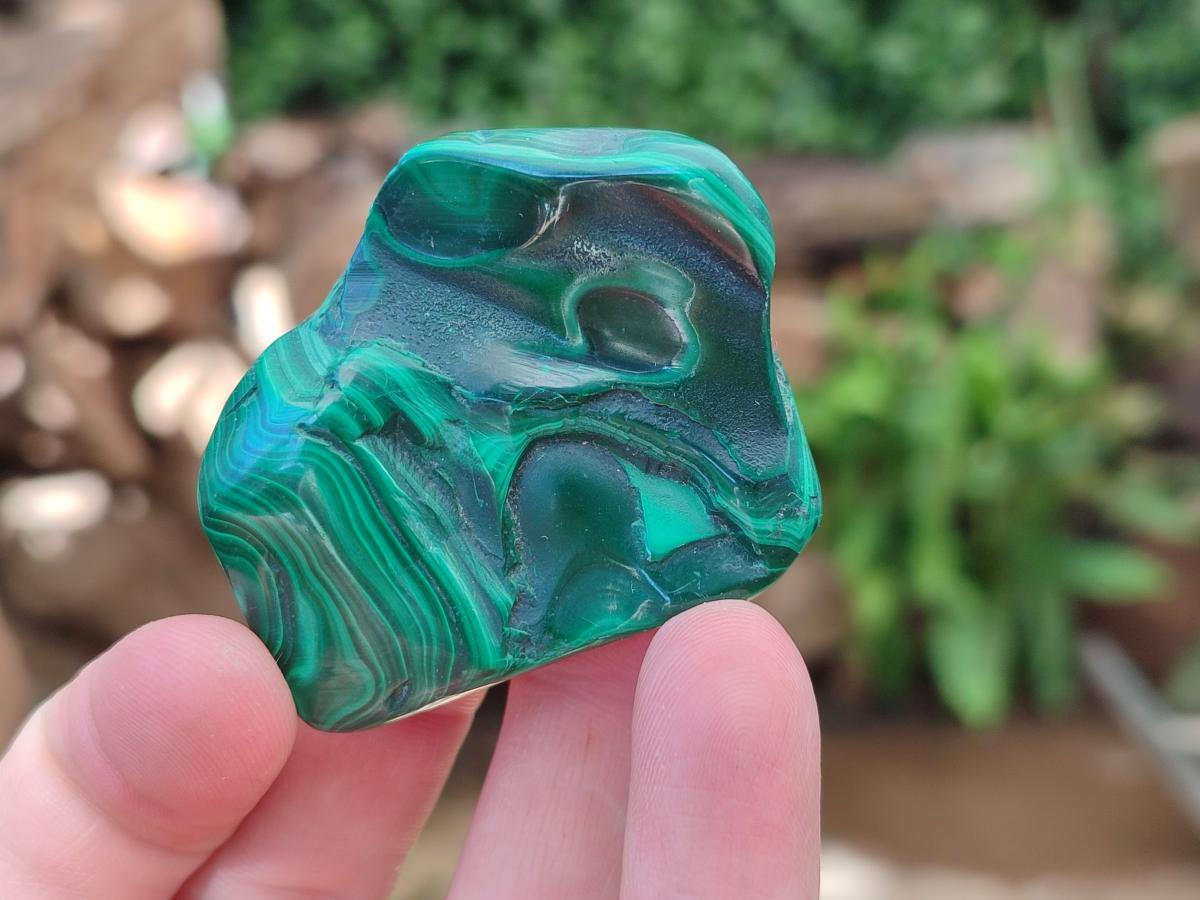 Polished Flower Banded Malachite Free Forms x 14 From Congo