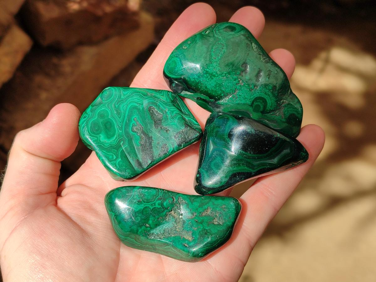 Polished Flower Banded Malachite Free Forms x 14 From Congo