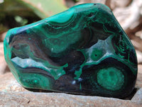 Polished Flower Banded Malachite Free Forms x 14 From Congo