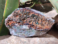 Natural Libethenite Crystals On Dolomite Matrix Specimens x 3 From Shituru, Congo
