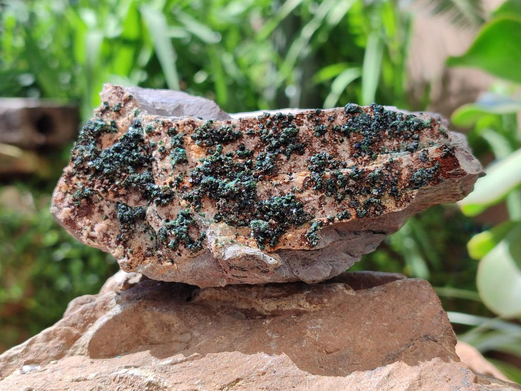 Natural Libethenite Crystals On Dolomite Matrix Specimens x 3 From Shituru, Congo