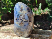 Polished Dendritic Agate Standing Free Forms x 2 From Moralambo, Madagascar