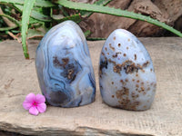 Polished Dendritic Agate Standing Free Forms x 2 From Moralambo, Madagascar