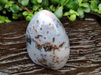 Polished Dendritic Agate Standing Free Forms x 2 From Moralambo, Madagascar