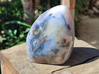 Polished Dendritic Agate Standing Free Forms x 2 From Moralambo, Madagascar