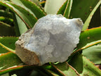Natural Blue Lace Agate Geode and Plate Specimens x 2 From Nsanje, Malawi