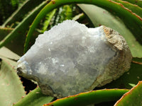 Natural Blue Lace Agate Geode and Plate Specimens x 2 From Nsanje, Malawi