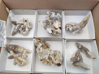 Natural Drusy Quartz Coated Black Tipped Calcite Pseudomorph Specimens x 6 From Albert's Mountain, Lesotho