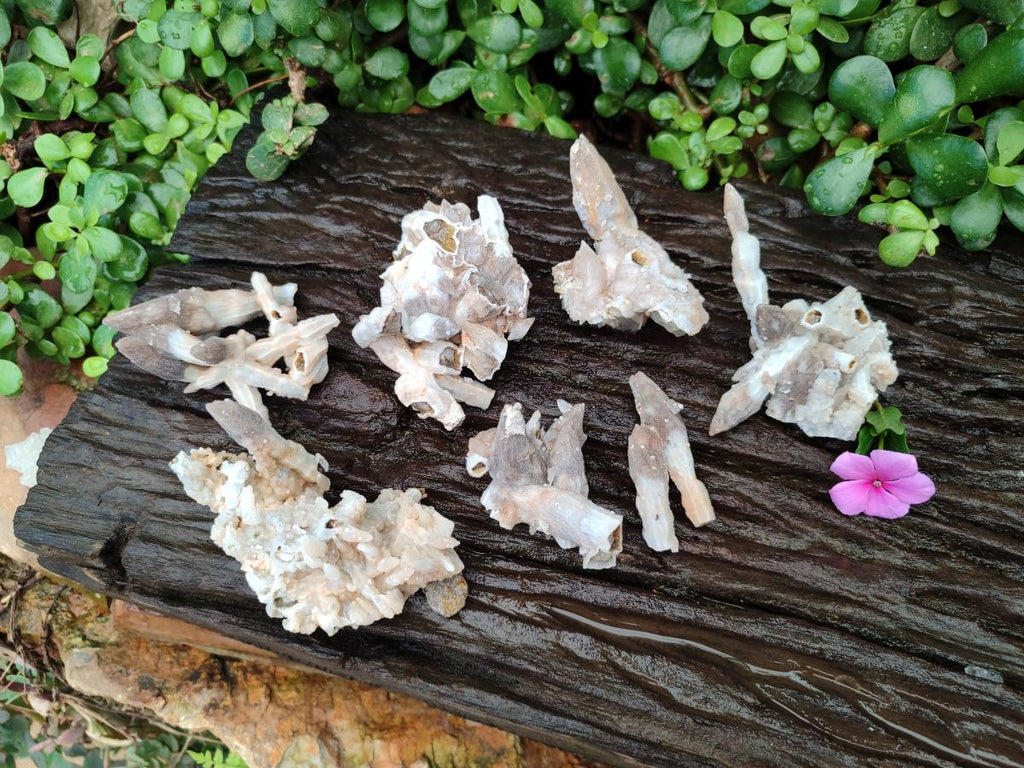 Natural Drusy Quartz Coated Black Tipped Calcite Pseudomorph Specimens x 6 From Albert's Mountain, Lesotho