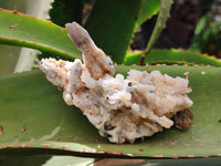 Natural Drusy Quartz Coated Black Tipped Calcite Pseudomorph Specimens x 6 From Albert's Mountain, Lesotho