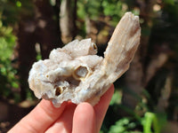 Natural Drusy Quartz Coated Black Tipped Calcite Pseudomorph Specimens x 6 From Albert's Mountain, Lesotho