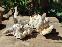 Natural Drusy Quartz Coated Black Tipped Calcite Pseudomorph Specimens x 6 From Albert's Mountain, Lesotho