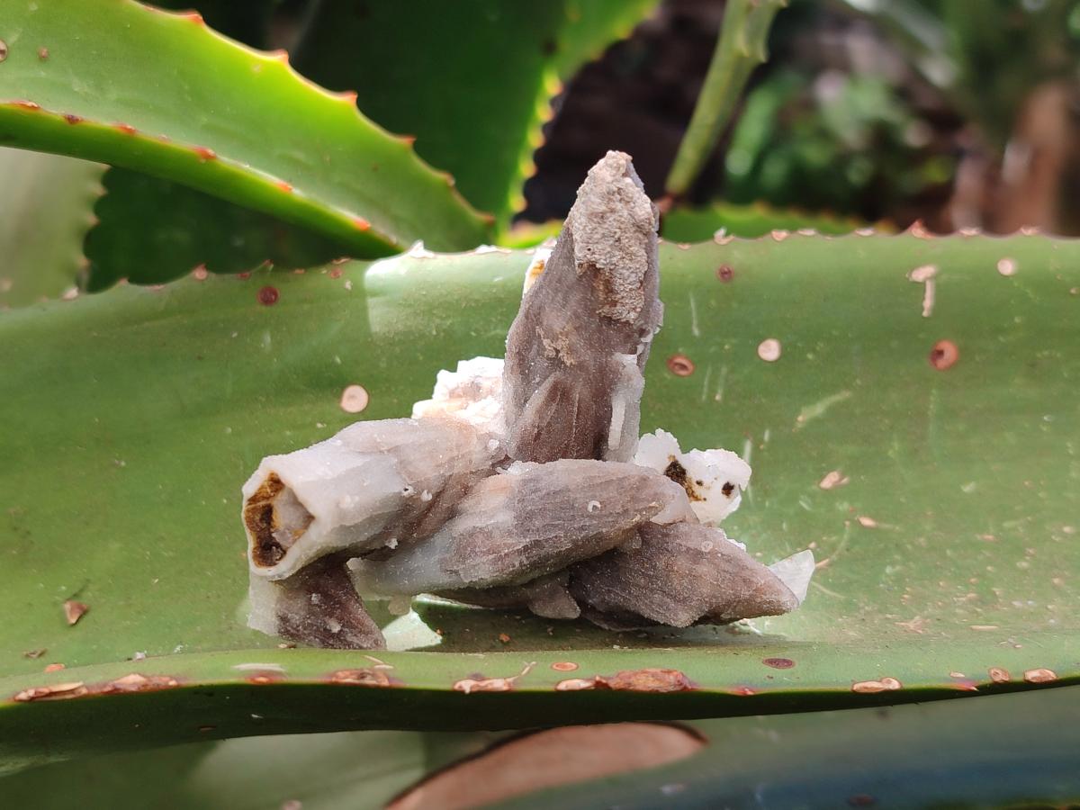 Natural Drusy Quartz Coated Black Tipped Calcite Pseudomorph Specimens x 6 From Albert's Mountain, Lesotho