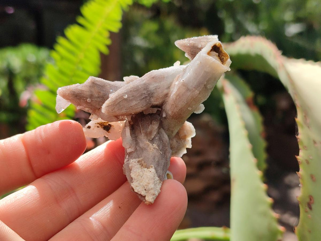 Natural Drusy Quartz Coated Black Tipped Calcite Pseudomorph Specimens x 6 From Albert's Mountain, Lesotho