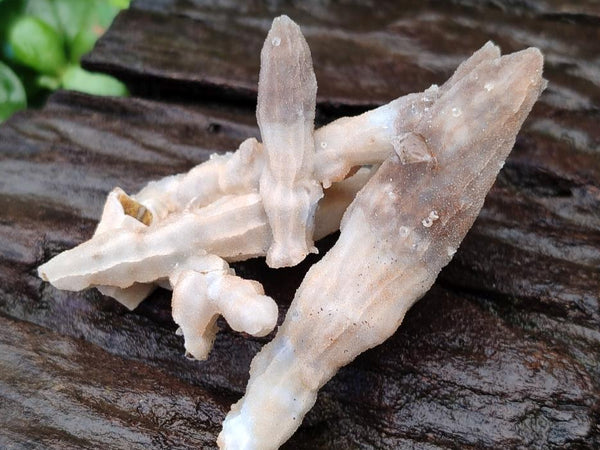 Natural Drusy Quartz Coated Black Tipped Calcite Pseudomorph Specimens x 6 From Albert's Mountain, Lesotho
