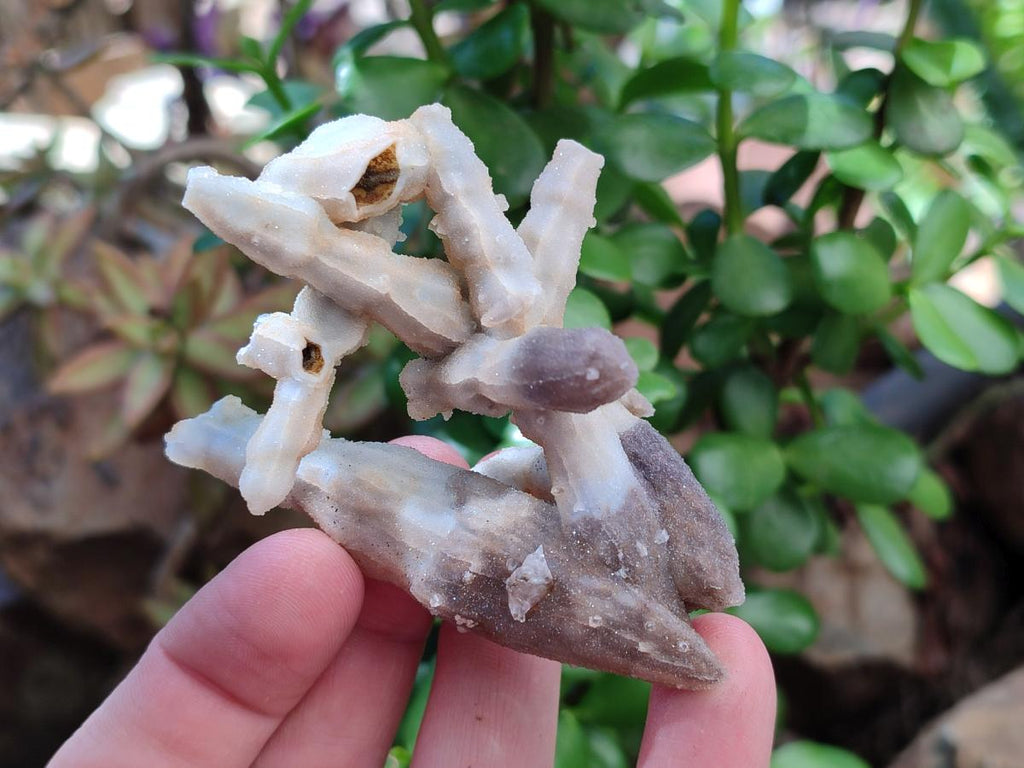 Natural Drusy Quartz Coated Black Tipped Calcite Pseudomorph Specimens x 6 From Albert's Mountain, Lesotho