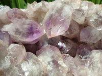 Natural Large Jacaranda Amethyst Crystal Cluster x 1 From Mumbwa, Zambia