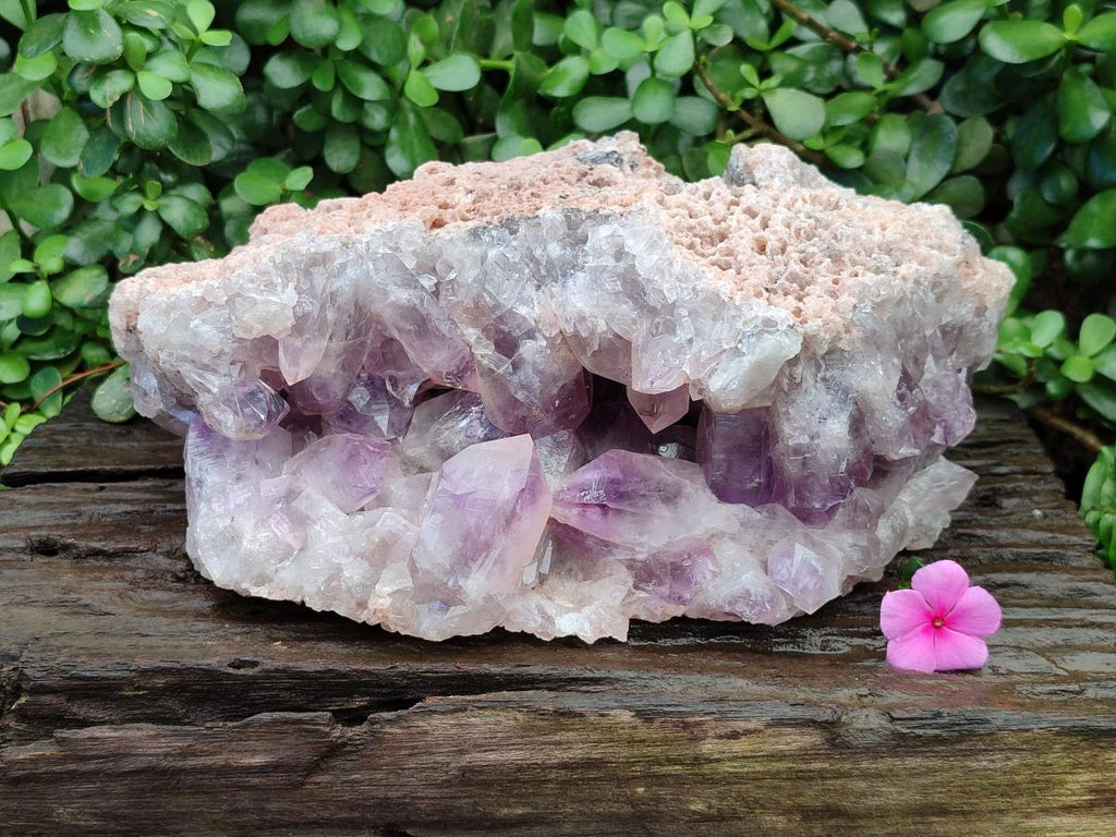 Natural Large Jacaranda Amethyst Crystal Cluster x 1 From Mumbwa, Zambia