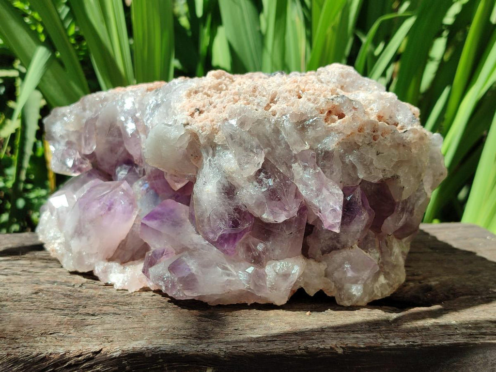 Natural Large Jacaranda Amethyst Crystal Cluster x 1 From Mumbwa, Zambia
