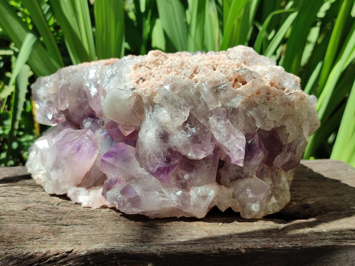 Natural Large Jacaranda Amethyst Crystal Cluster x 1 From Mumbwa, Zambia