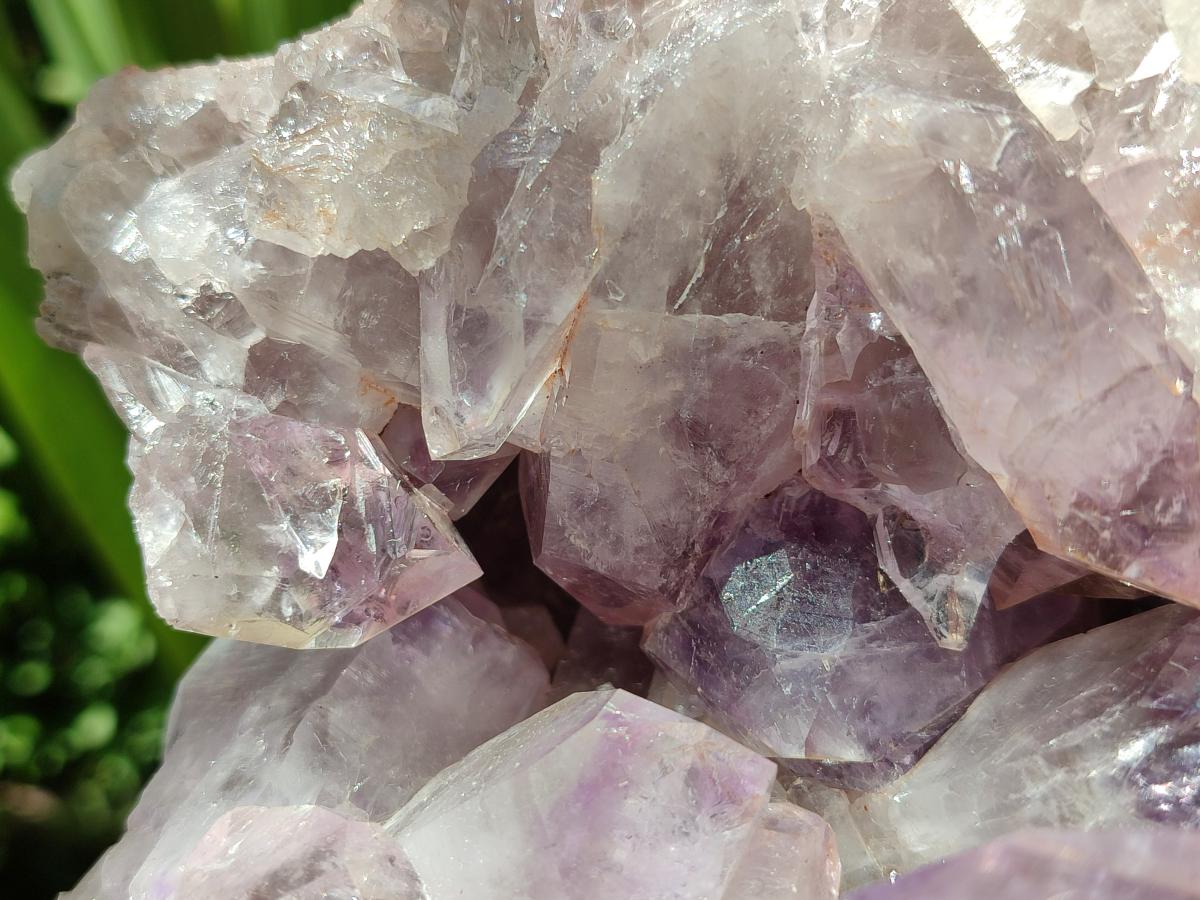 Natural Large Jacaranda Amethyst Crystal Cluster x 1 From Mumbwa, Zambia