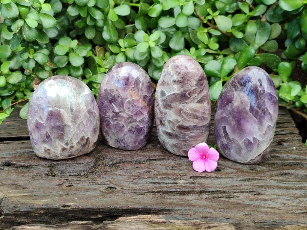 Polished Purple Chevron Amethyst Standing Free Forms x 4 From Madagascar