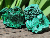 Natural Silky Malachite Specimens x 12 From Kasompe, Congo