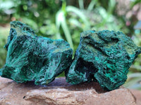 Natural Silky Malachite Specimens x 12 From Kasompe, Congo