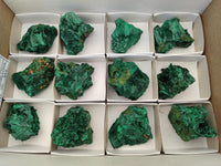 Natural Silky Malachite Specimens x 12 From Kasompe, Congo