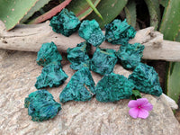 Natural Silky Malachite Specimens x 12 From Kasompe, Congo