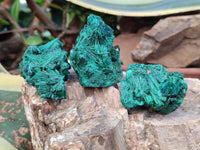 Natural Silky Malachite Specimens x 12 From Kasompe, Congo