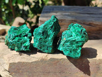 Natural Silky Malachite Specimens x 12 From Kasompe, Congo