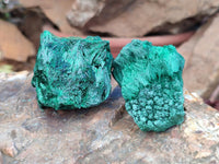 Natural Silky Malachite Specimens x 12 From Kasompe, Congo