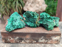 Natural Silky Malachite Specimens x 12 From Kasompe, Congo
