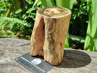 Polished On One Side Petrified Wood Branches x 2 From Gokwe, Zimbabwe