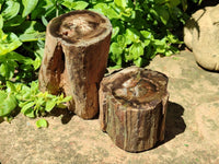 Polished On One Side Petrified Wood Branches x 2 From Gokwe, Zimbabwe