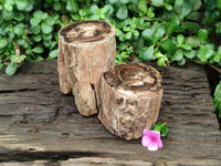 Polished On One Side Petrified Wood Branches x 2 From Gokwe, Zimbabwe