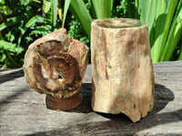 Polished On One Side Petrified Wood Branches x 2 From Gokwe, Zimbabwe