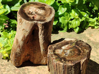 Polished On One Side Petrified Wood Branches x 2 From Gokwe, Zimbabwe