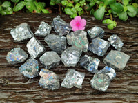 Natural Bright Silver Lead Galena Cobbed Specimens x 20 From Kaokoveld, Namibia