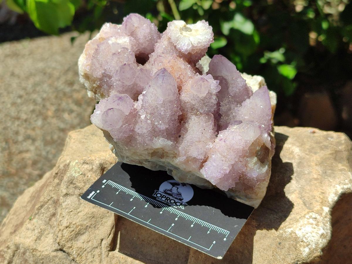Natural Lilac Spirit Quartz Cluster x 1 From Boekenhouthoek, South Africa