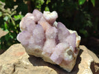 Natural Lilac Spirit Quartz Cluster x 1 From Boekenhouthoek, South Africa
