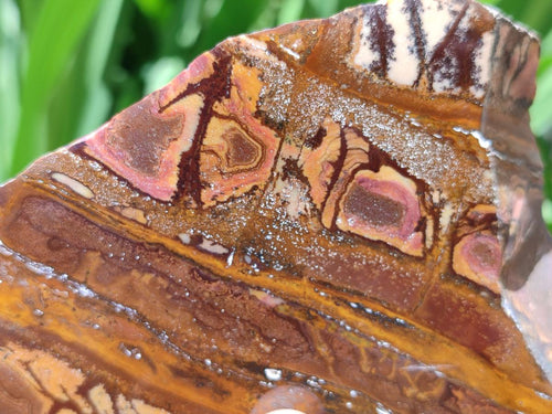 Polished On One Side Nguni Jasper Slices x 4 From Northern Cape, South Africa - Toprock Gemstones and Minerals 