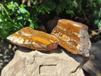 Polished On One Side Nguni Jasper Slices x 4 From Northern Cape, South Africa