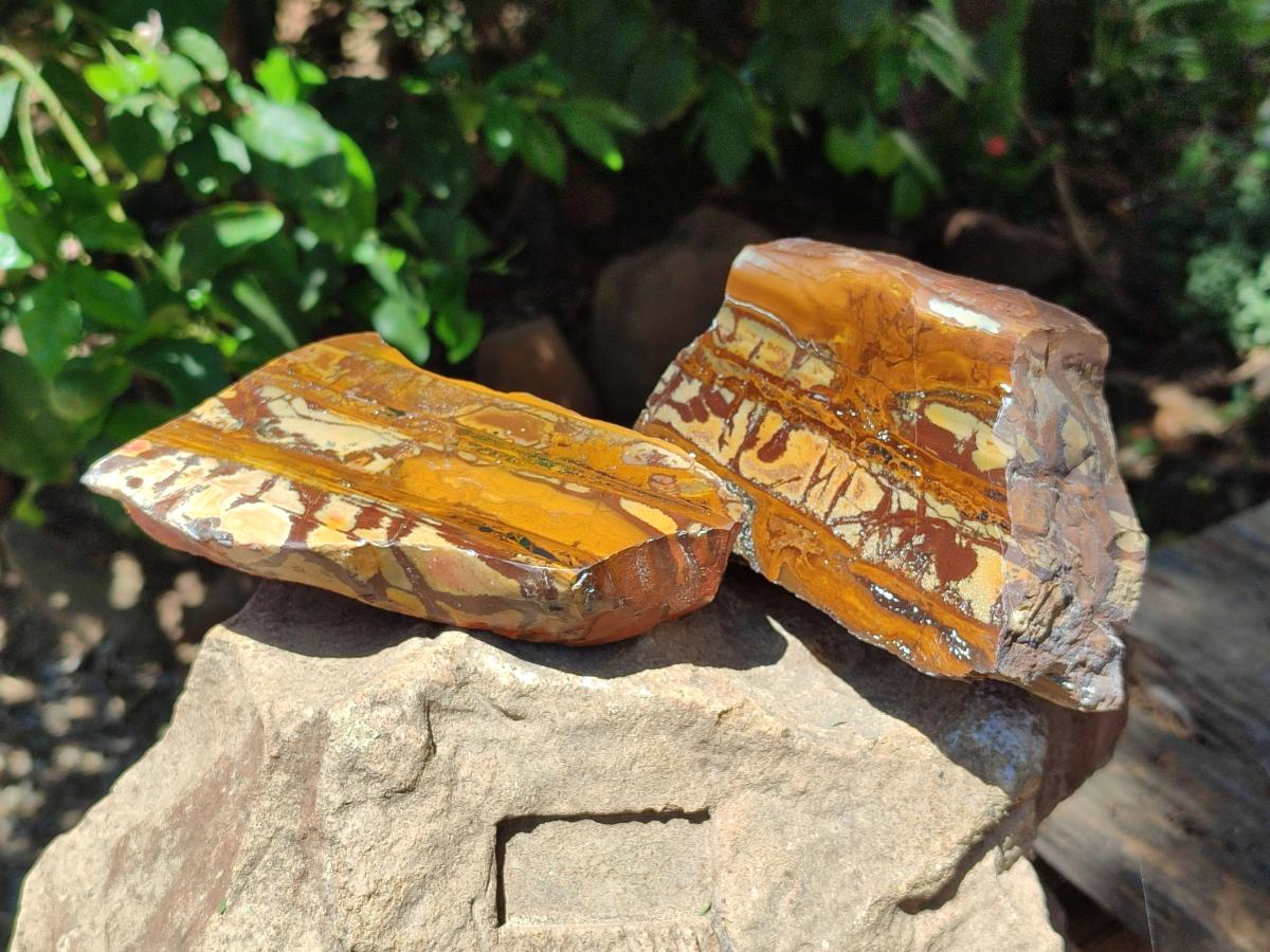 Polished On One Side Nguni Jasper Slices x 4 From Northern Cape, South Africa