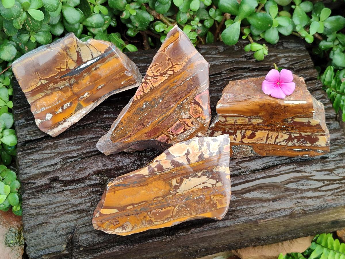 Polished On One Side Nguni Jasper Slices x 4 From Northern Cape, South Africa