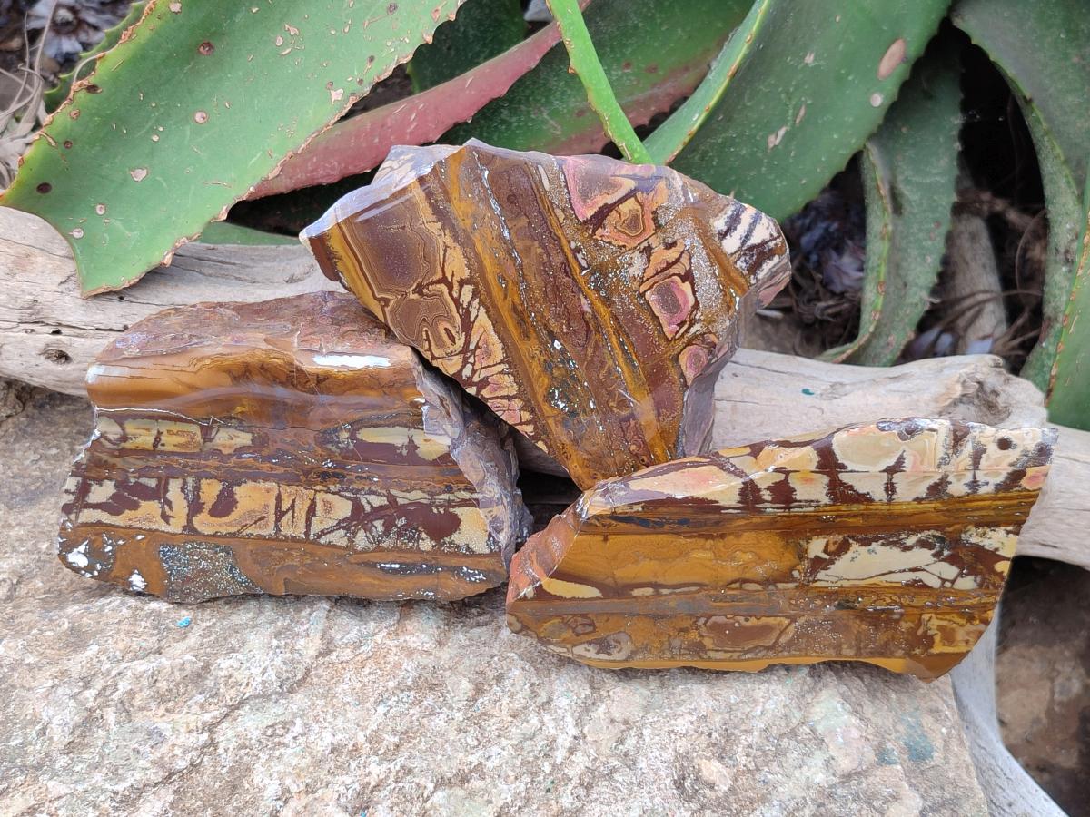 Polished On One Side Nguni Jasper Slices x 4 From Northern Cape, South Africa