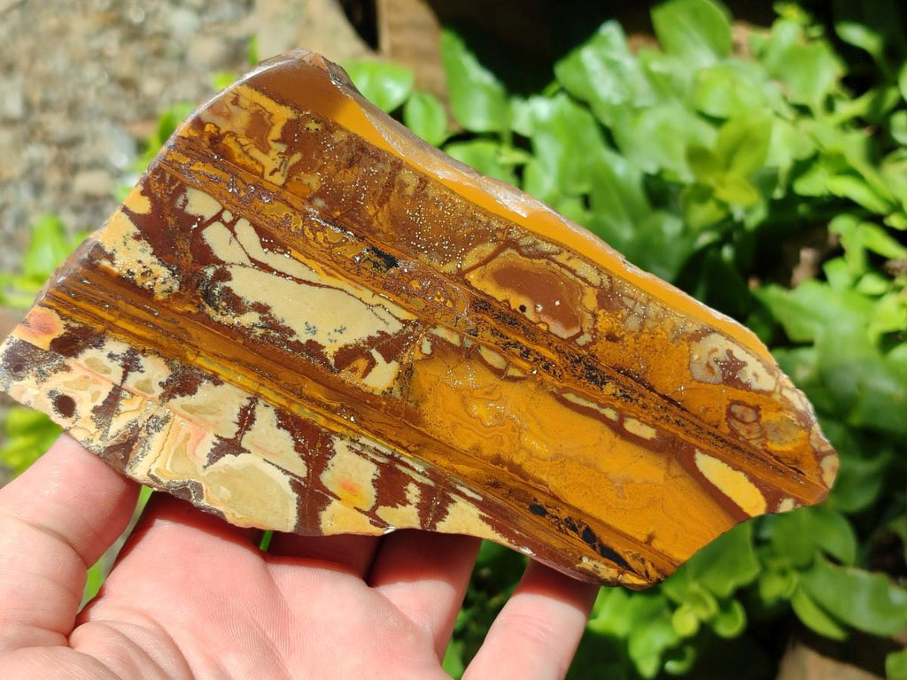 Polished On One Side Nguni Jasper Slices x 4 From Northern Cape, South Africa